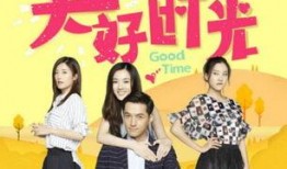 电视剧大好时光全集在线观看,重温经典，共度美好时光